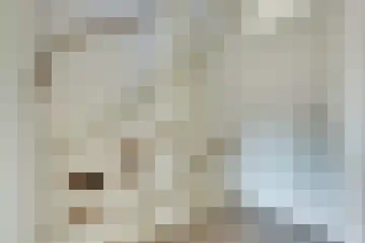 Vijzelmolenerf 21 Gouda thumbnail 15