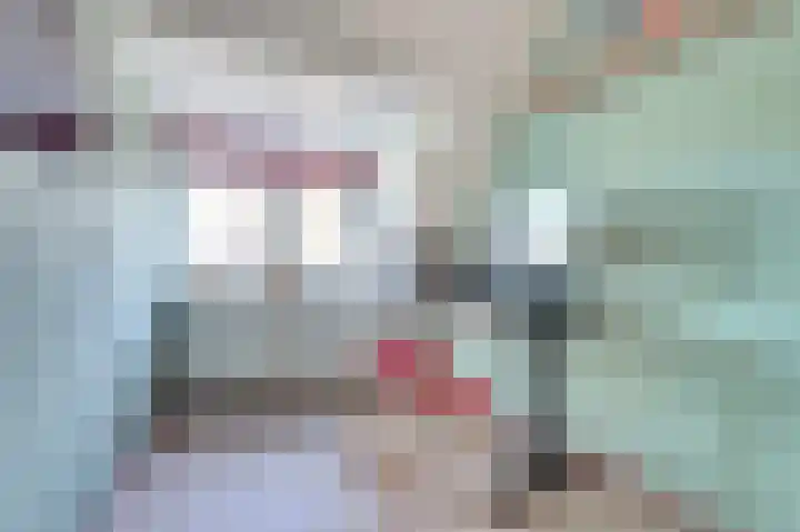 Vijzelmolenerf 21 Gouda thumbnail 20