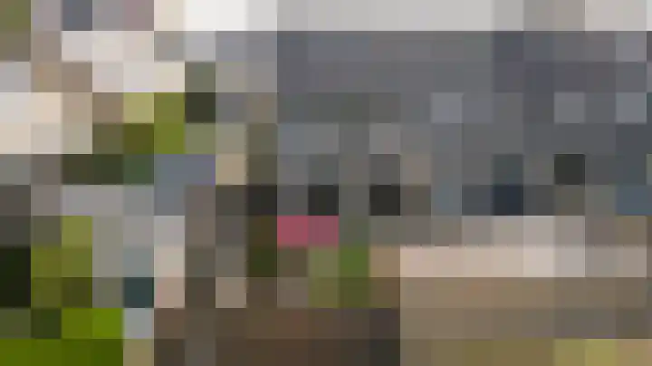 Vijzelmolenerf 21 Gouda thumbnail 36