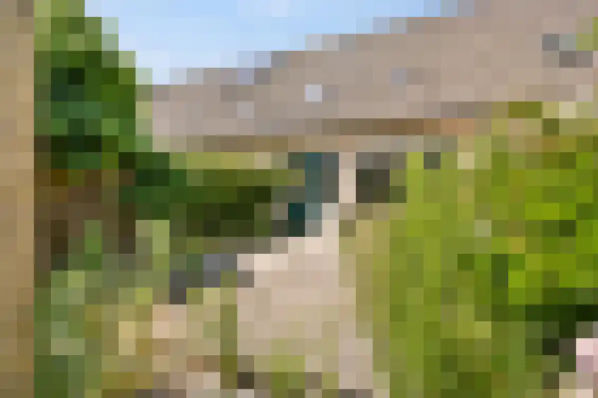 Vijzelmolenerf 22 Gouda thumbnail 5