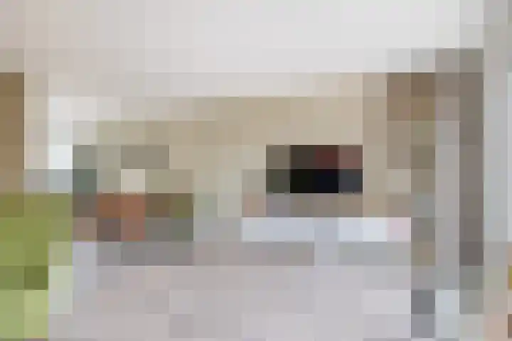 Vijzelmolenerf 8 Gouda thumbnail 10
