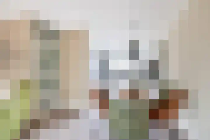 Vijzelmolenerf 8 Gouda thumbnail 12