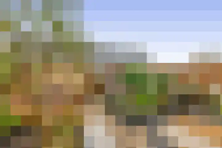 Vijzelmolenerf 8 Gouda thumbnail 17