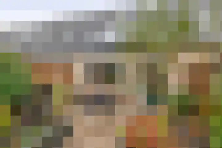 Vijzelmolenerf 8 Gouda thumbnail 19