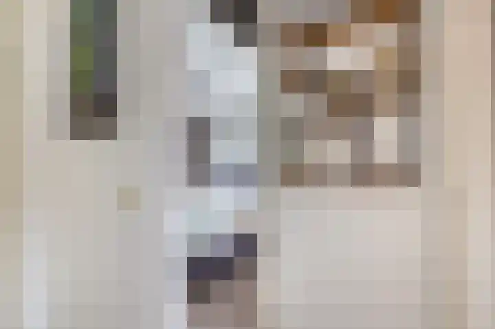 Vijzelmolenerf 8 Gouda thumbnail 23