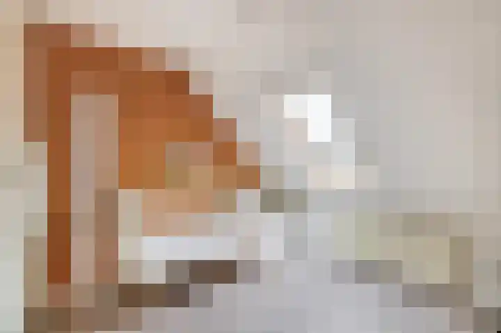Vijzelmolenerf 8 Gouda thumbnail 26