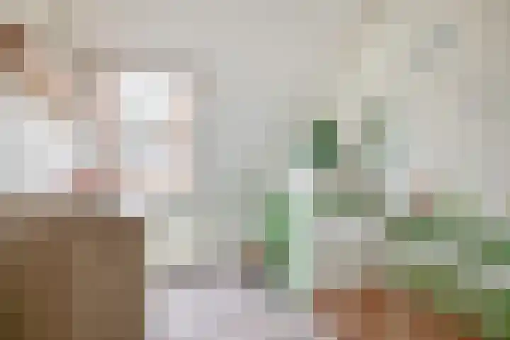 Vijzelmolenerf 8 Gouda thumbnail 27