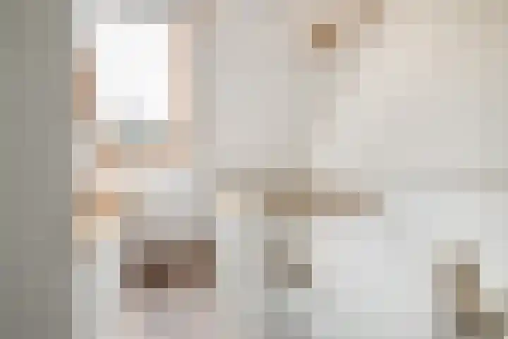 Vijzelmolenerf 8 Gouda thumbnail 31