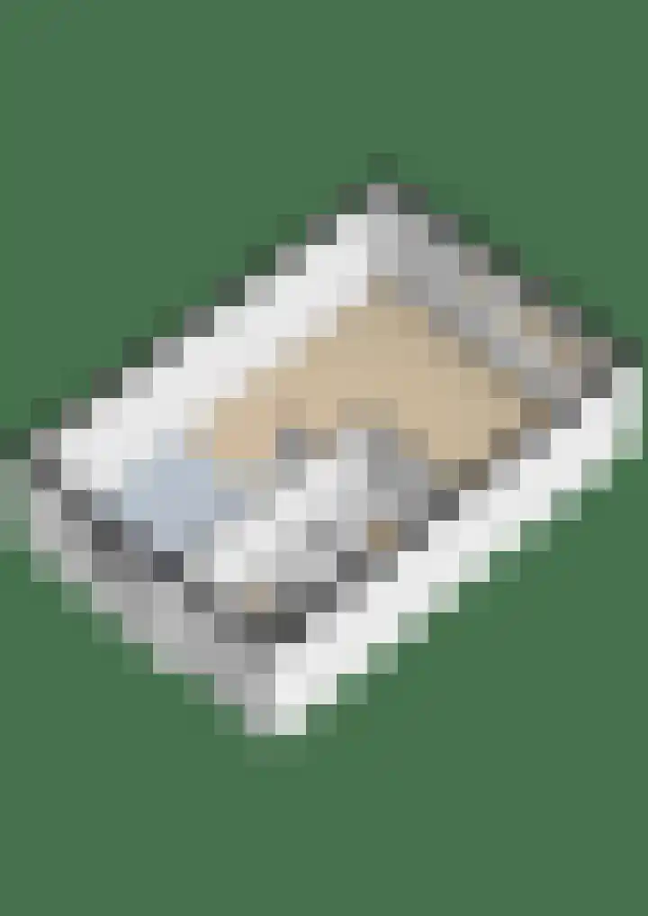 Vijzelmolenerf 8 Gouda thumbnail 36