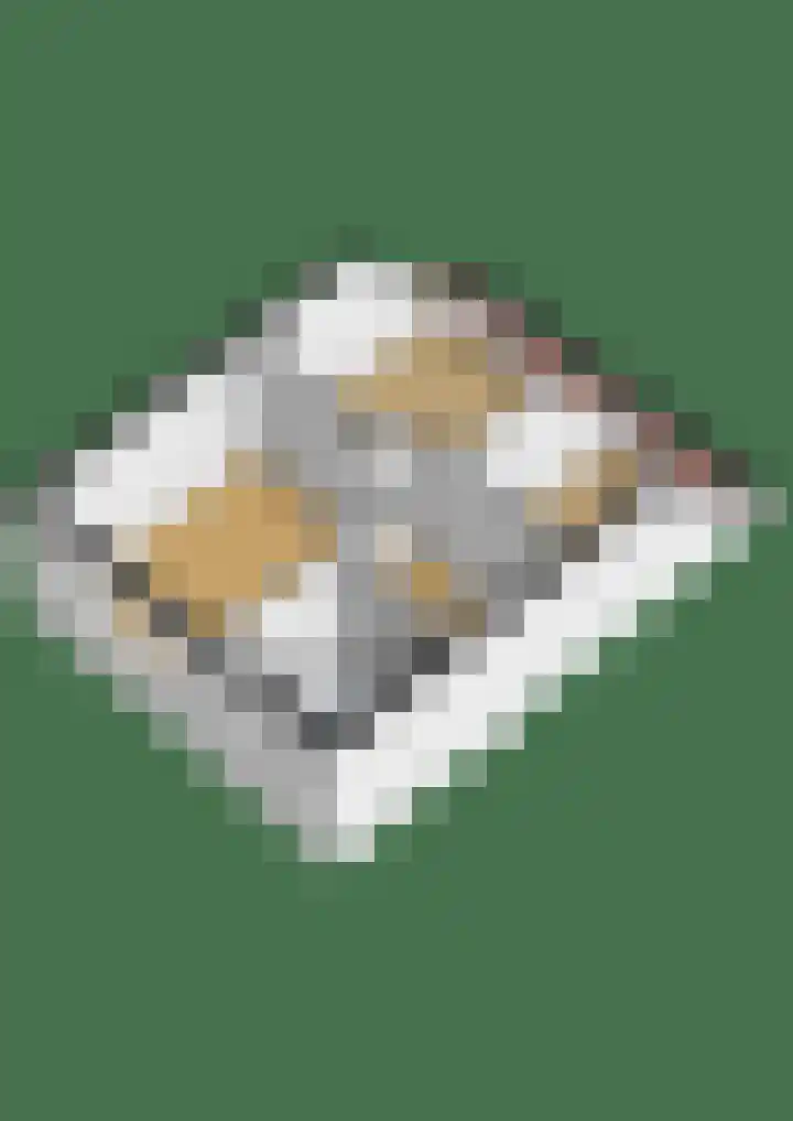 Vijzelmolenerf 8 Gouda thumbnail 38