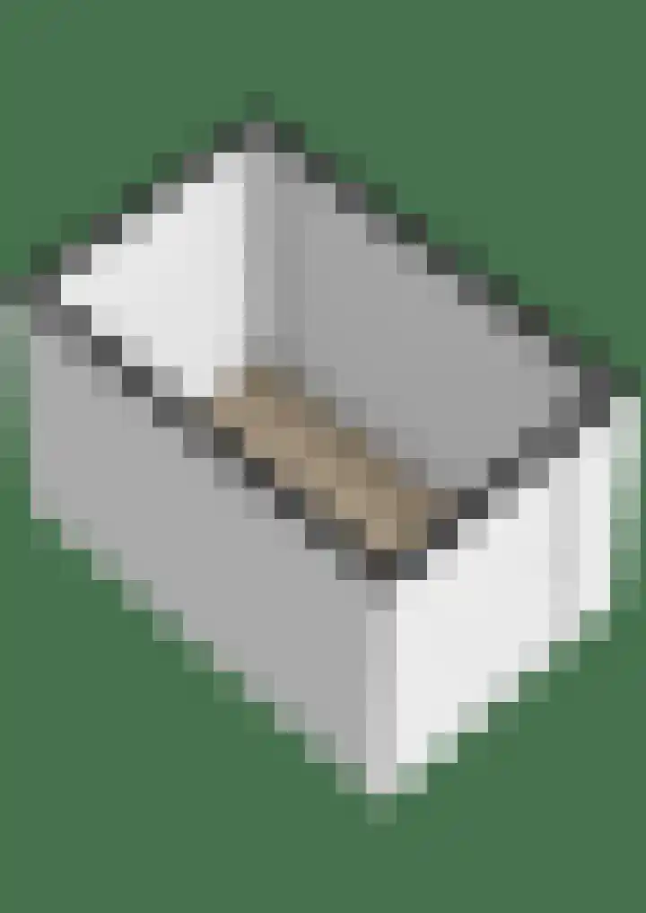Vijzelmolenerf 8 Gouda thumbnail 42