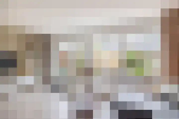 Vijzelmolenerf 8 Gouda thumbnail 9