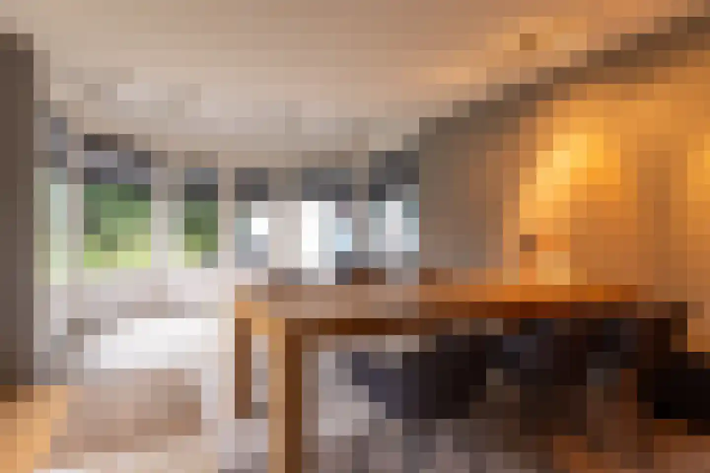 Vijzelpad 23 Hattem thumbnail 17