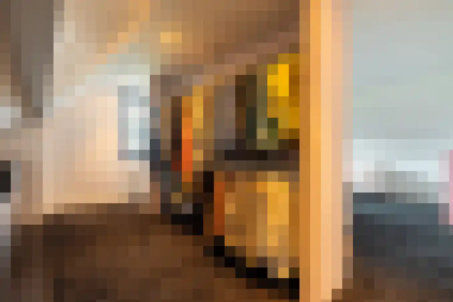 Vijzelpad 23 Hattem thumbnail 21