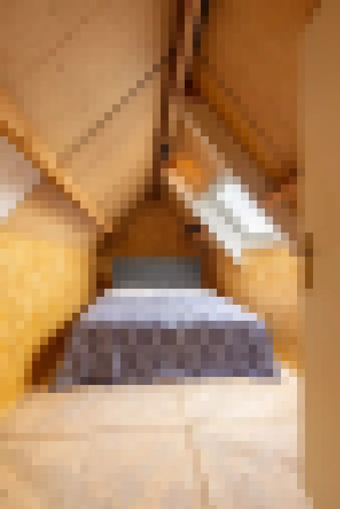 Vijzelpad 23 Hattem thumbnail 25