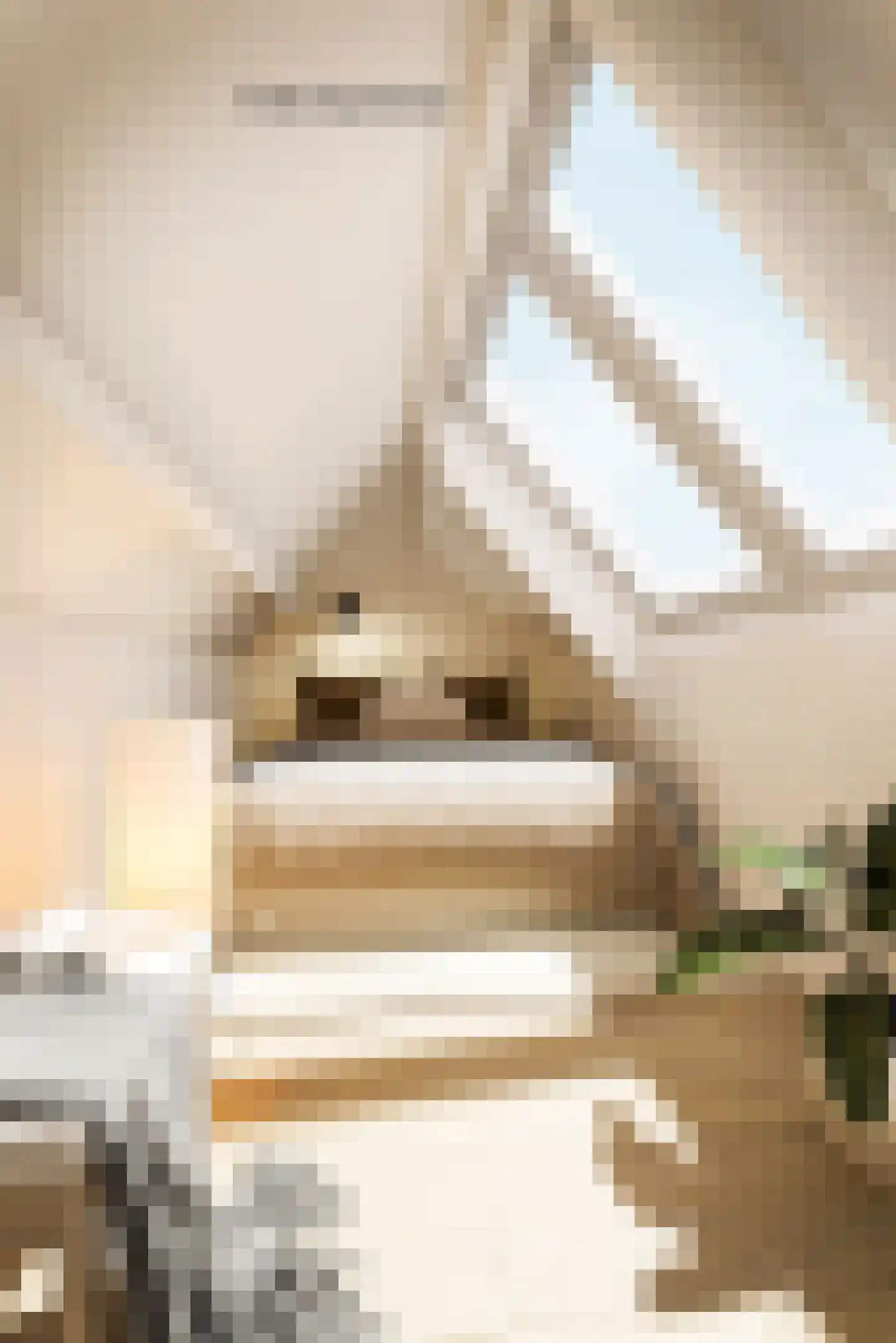 Vijzelpad 23 Hattem thumbnail 26