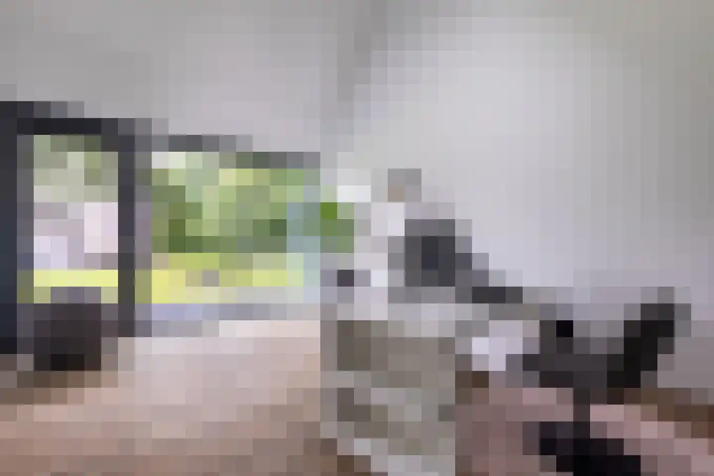 Vijzelpad 23 Hattem thumbnail 29