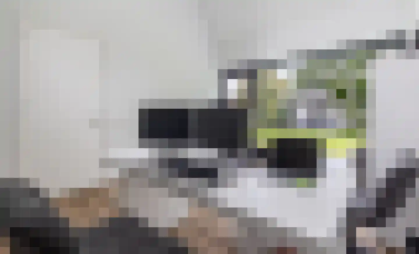 Vijzelpad 23 Hattem thumbnail 30