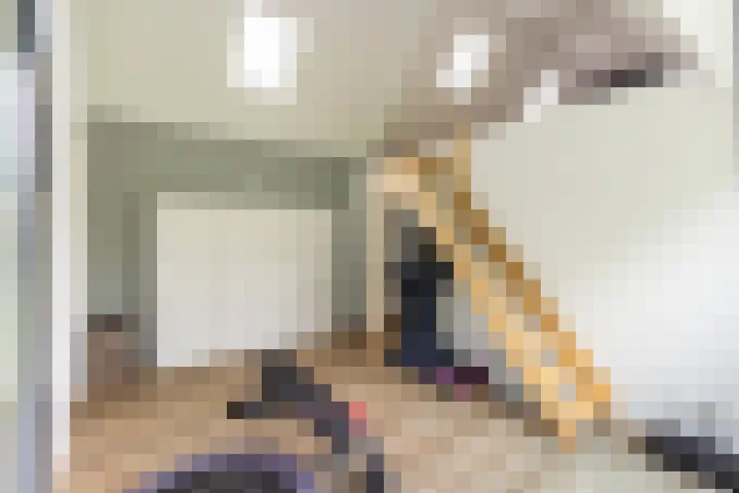 Vijzelpad 23 Hattem thumbnail 31