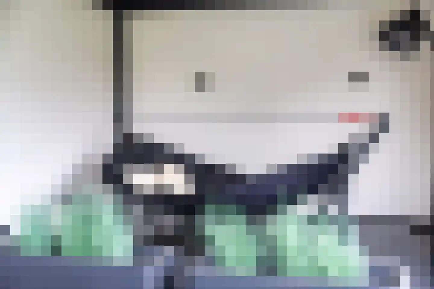 Vijzelpad 23 Hattem thumbnail 38