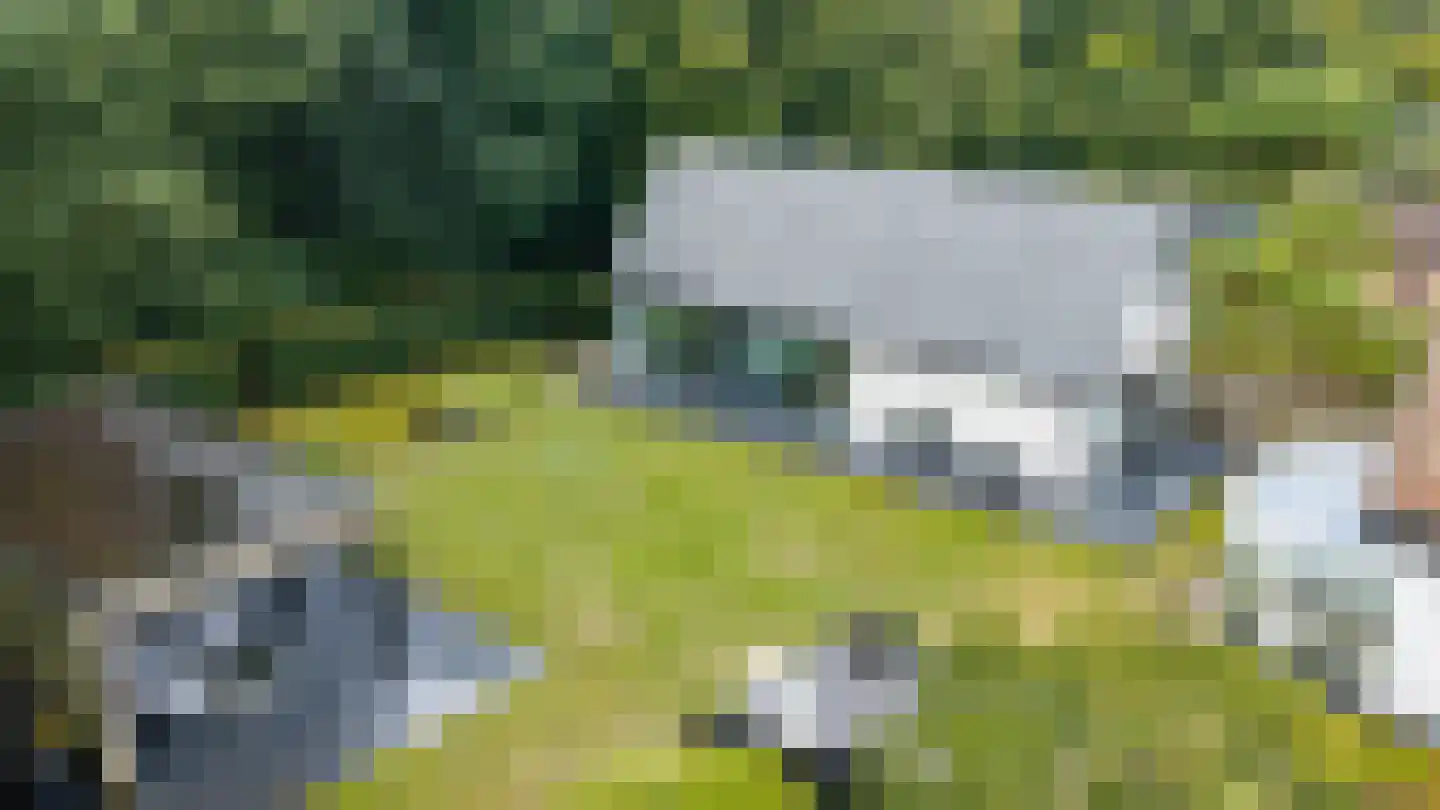 Vijzelpad 23 Hattem thumbnail 42