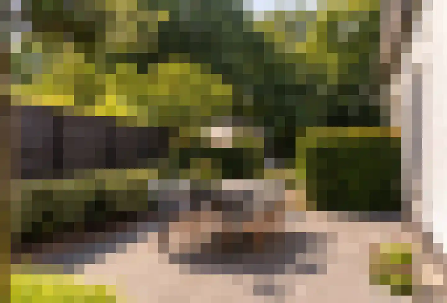 Vijzelpad 23 Hattem thumbnail 48