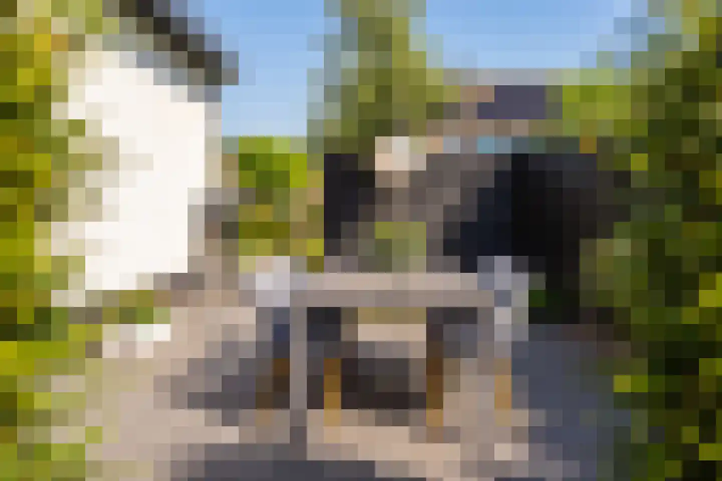 Vijzelpad 23 Hattem thumbnail 49