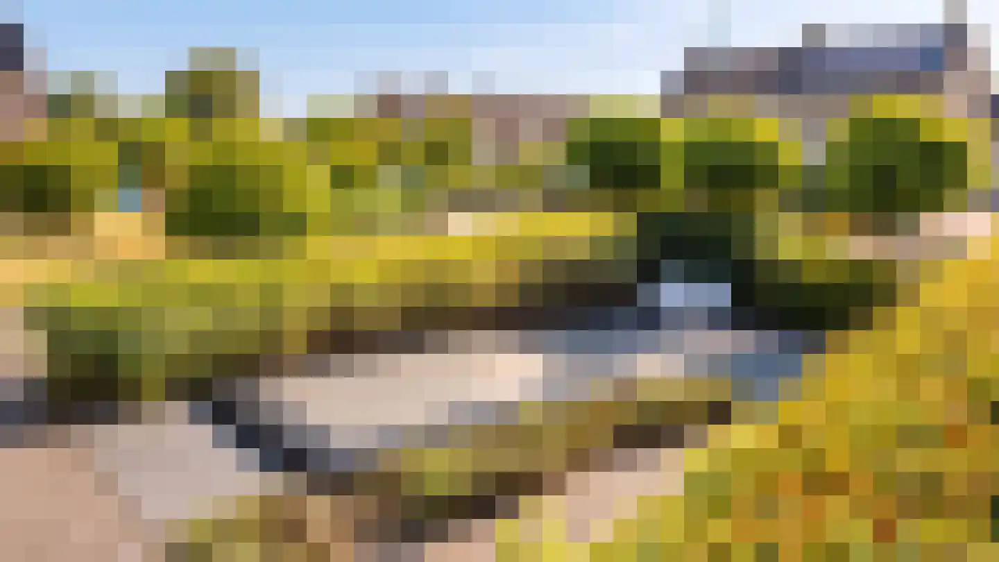 Vijzelpad 23 Hattem thumbnail 52