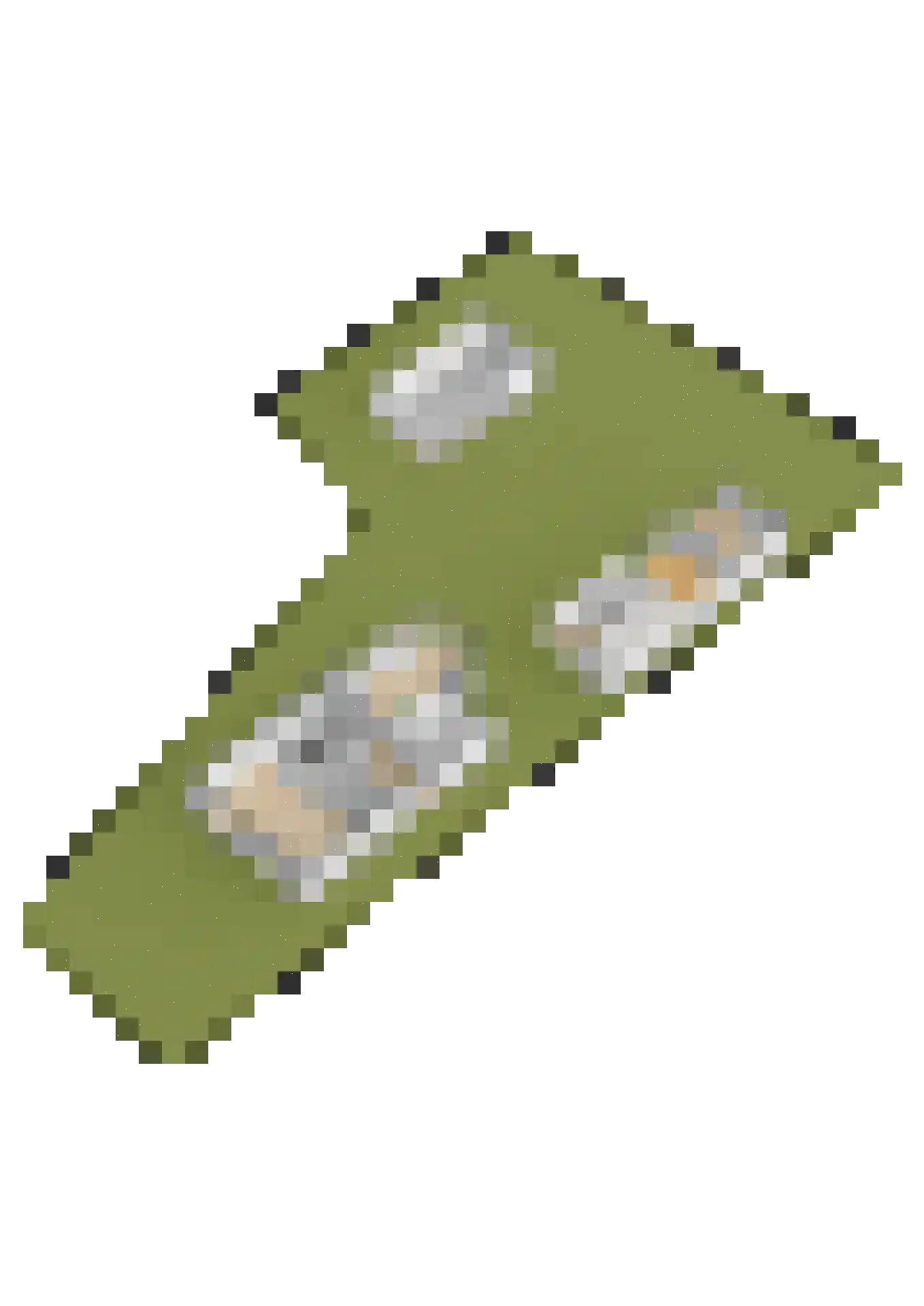 Vijzelpad 23 Hattem thumbnail 64