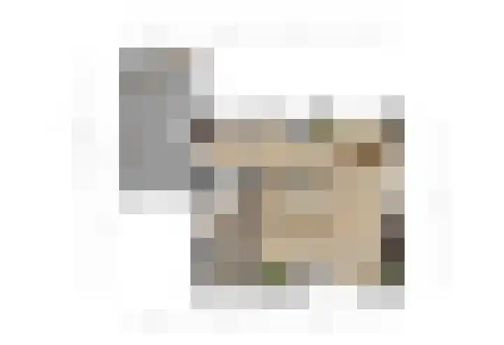 Vijzelpad 7 Hattem thumbnail 37