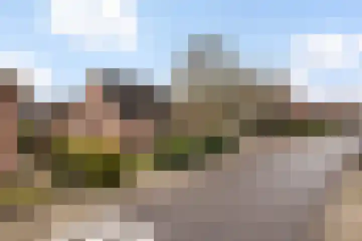 Vijzelpad 7 Hattem thumbnail 4
