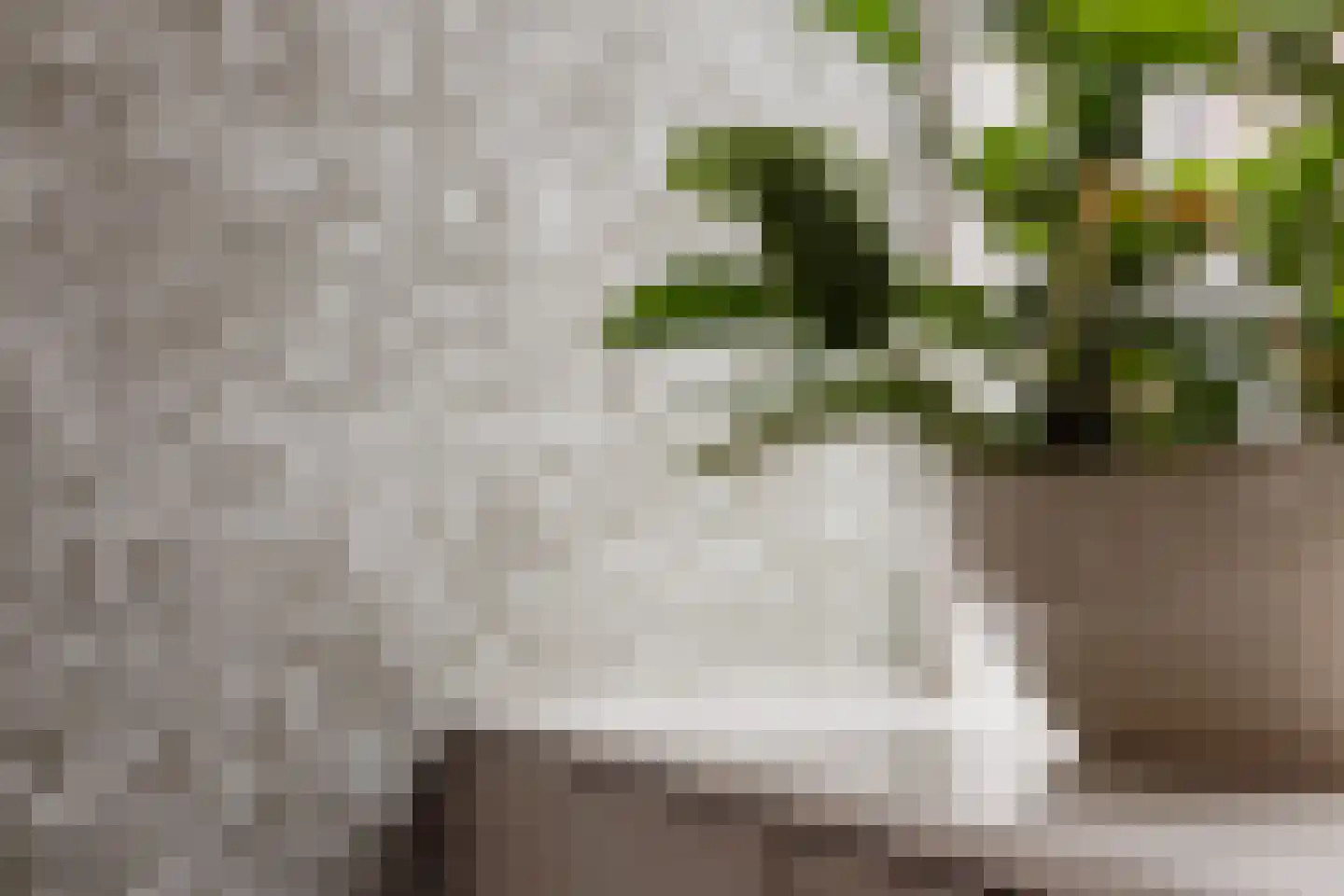 Vijzelstraat 1 Edam thumbnail 23
