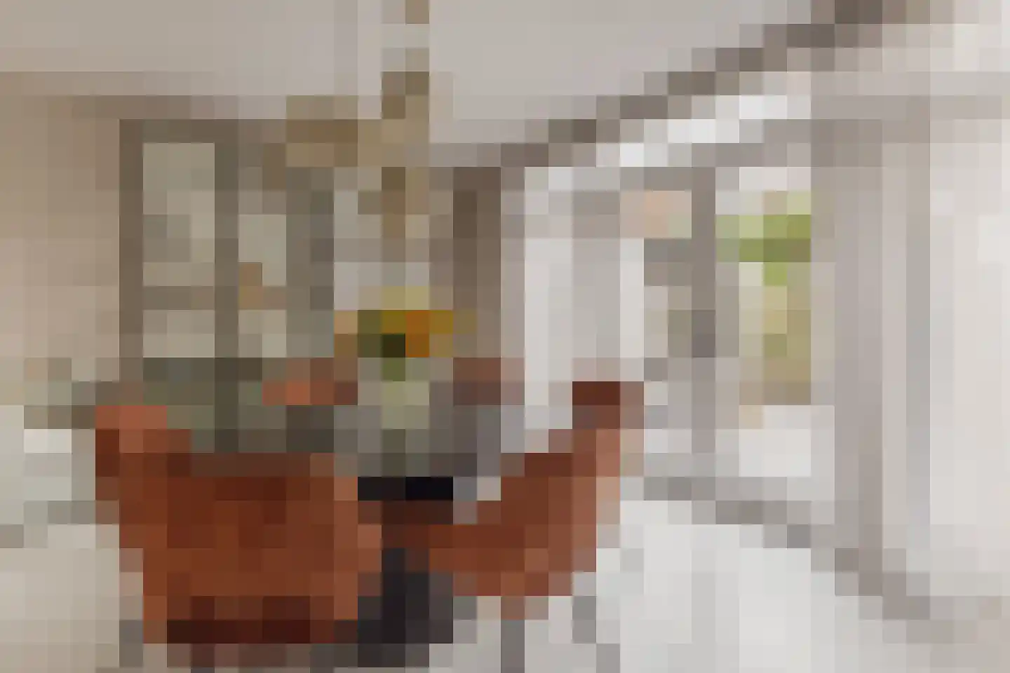 Vijzelstraat 1 Edam thumbnail 25