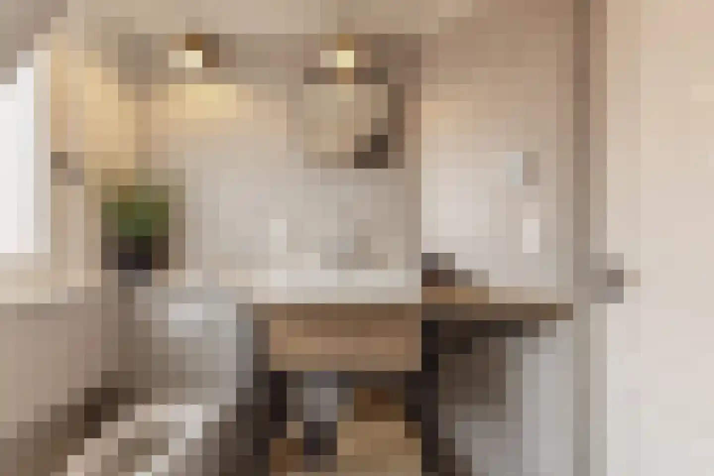 Vijzelstraat 1 Edam thumbnail 47