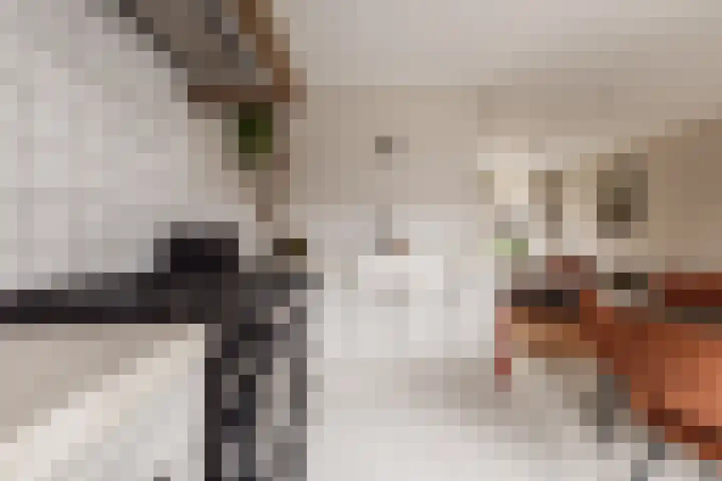 Vijzelstraat 1 Edam thumbnail 5
