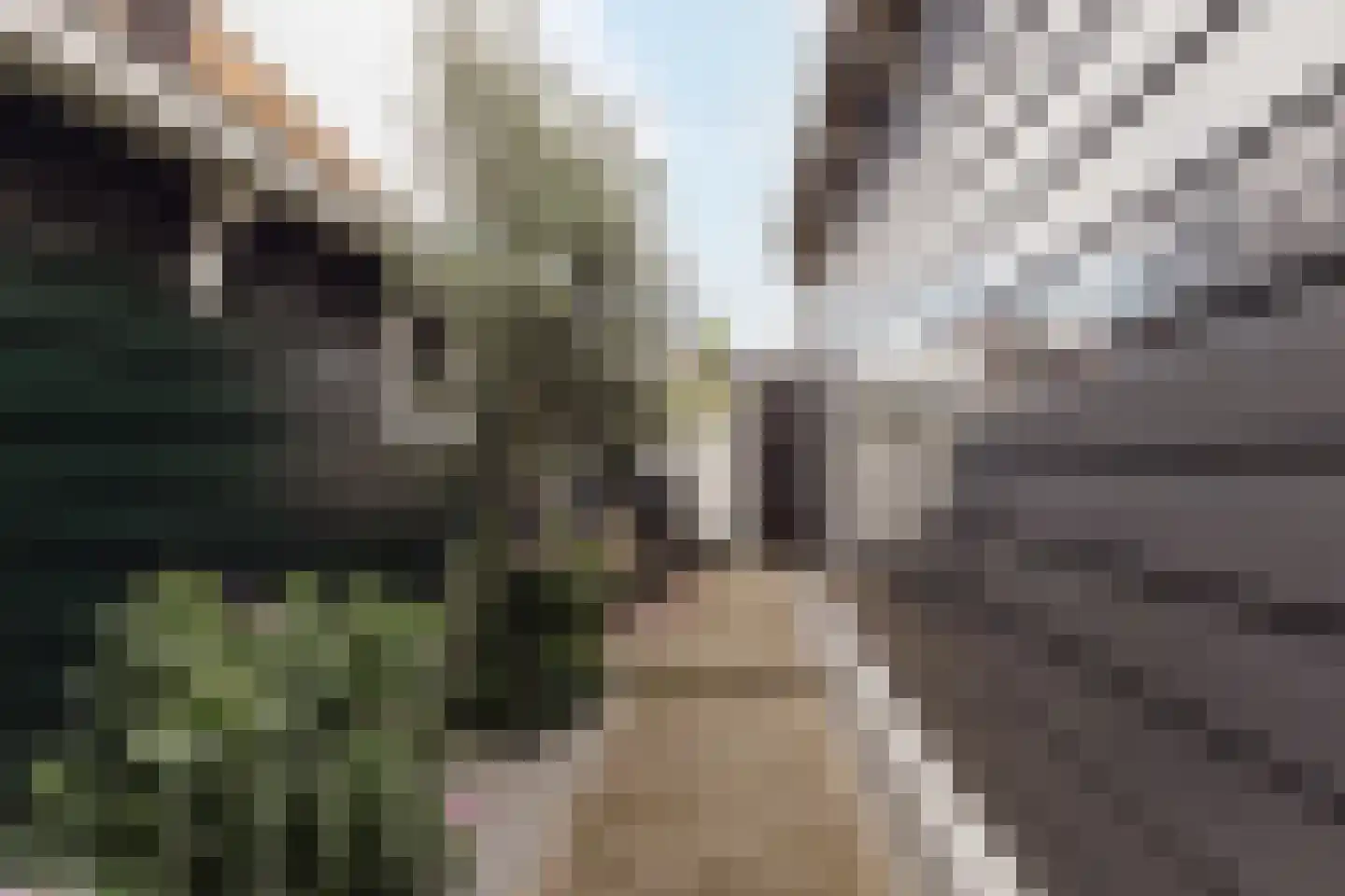 Vijzelstraat 1 Edam thumbnail 58