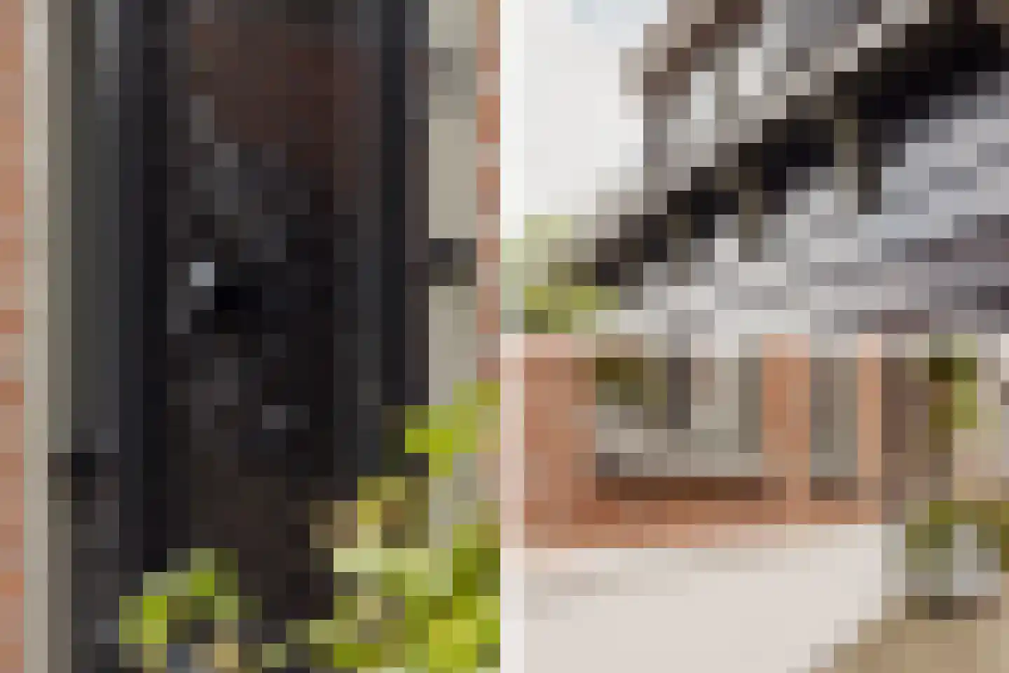 Vijzelstraat 1 Edam thumbnail 6
