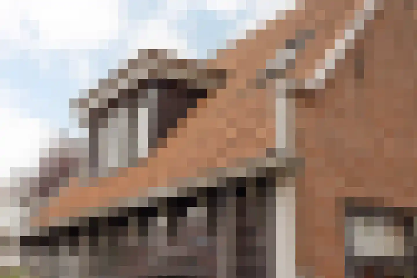 Vijzelstraat 1 Edam thumbnail 62