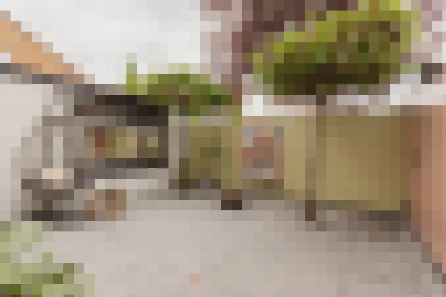 Vijzelstraat 1 Edam thumbnail 64