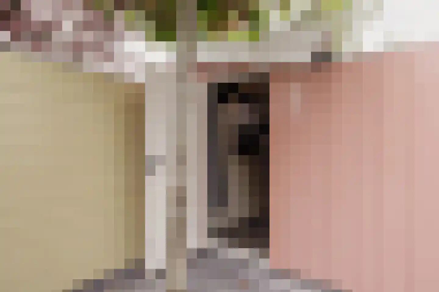Vijzelstraat 1 Edam thumbnail 67