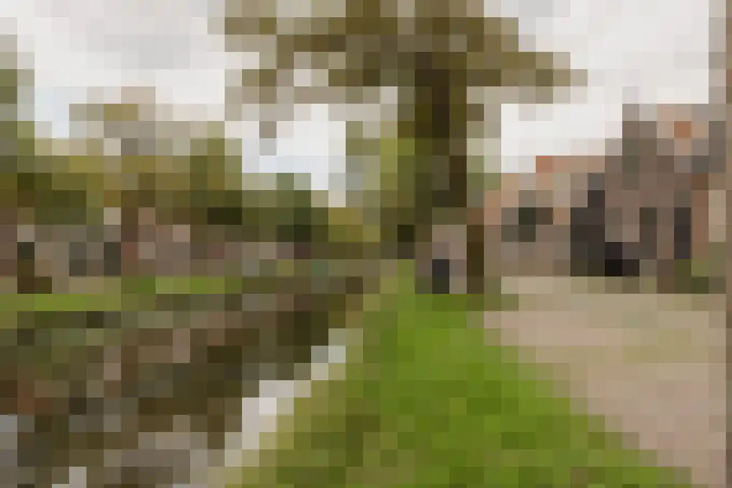 Vijzelstraat 1 Edam thumbnail 73