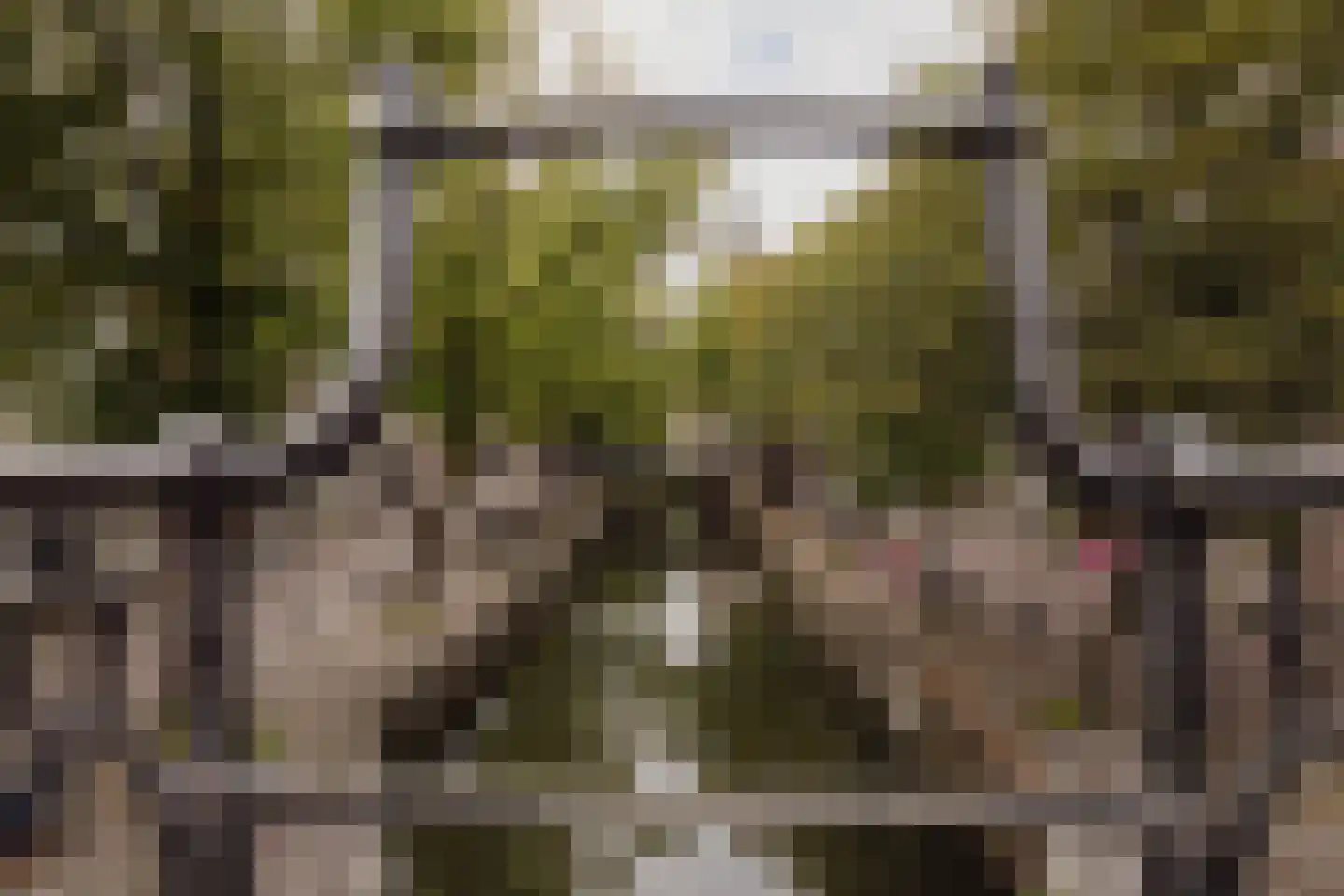 Vijzelstraat 1 Edam thumbnail 85