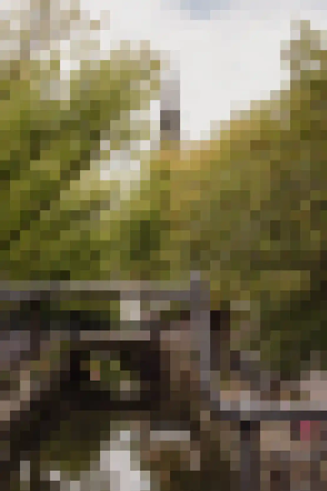 Vijzelstraat 1 Edam thumbnail 86