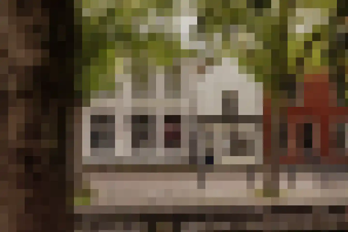 Vijzelstraat 1 Edam thumbnail 91