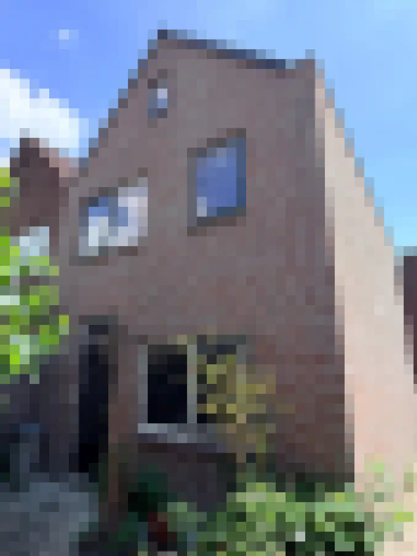 Vijzelstraat 1 Hoorn thumbnail 18