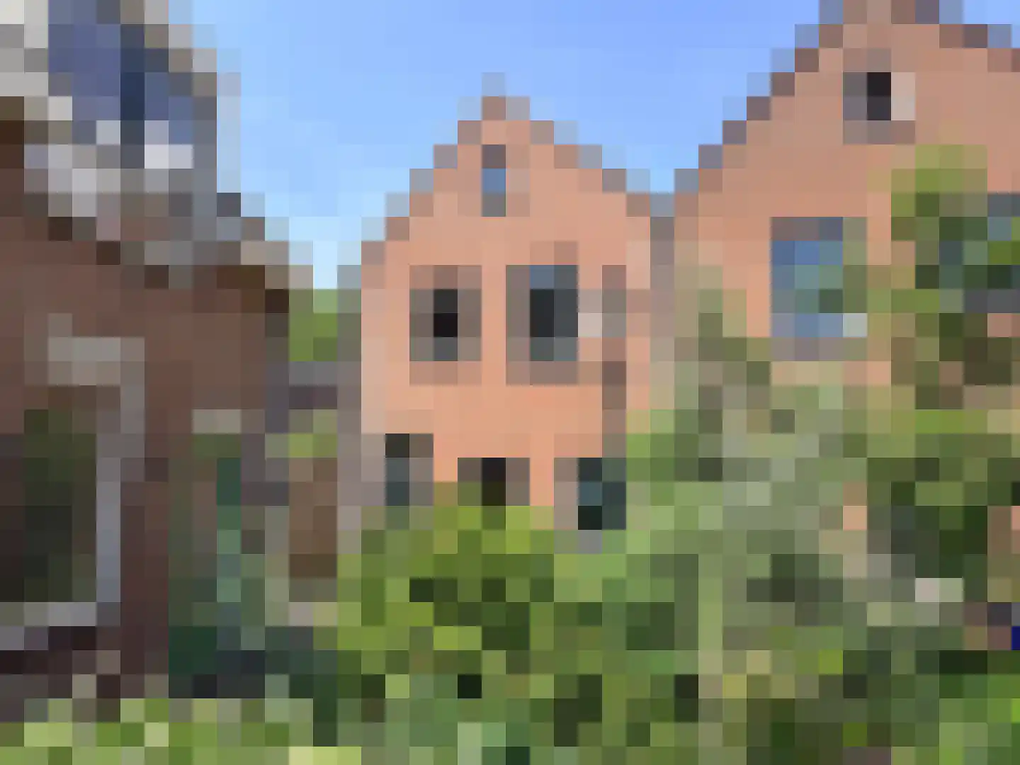 Vijzelstraat 1 Hoorn thumbnail 42