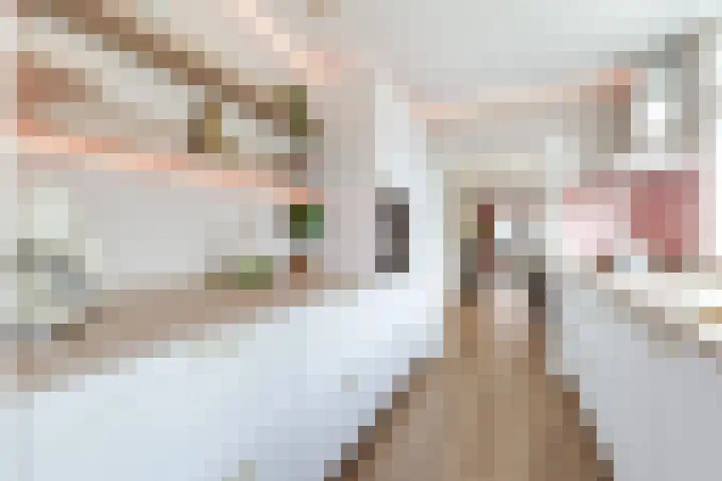 Vijzelstraat 12 Hoorn thumbnail 31