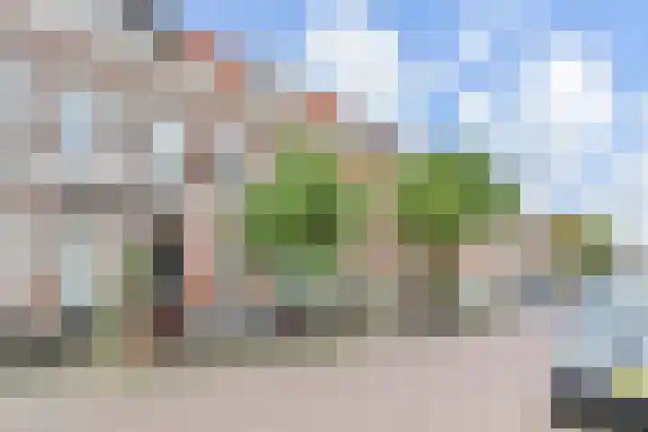 Vijzelstraat 165 Den Haag thumbnail 69