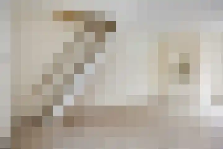 Vijzelstraat 66 Den Helder thumbnail 8