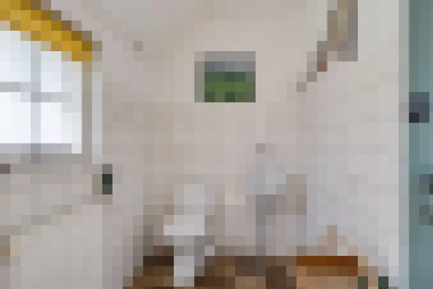 Vijzelweg 7 Eext thumbnail 10
